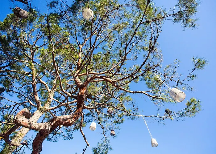 Bq Sarah -adults Only Hotel 3*