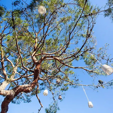 Bq Sarah -adults Only מלון 3*