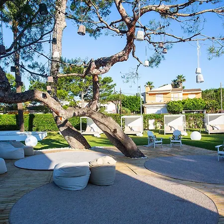 Bq Sarah -adults Only 3*